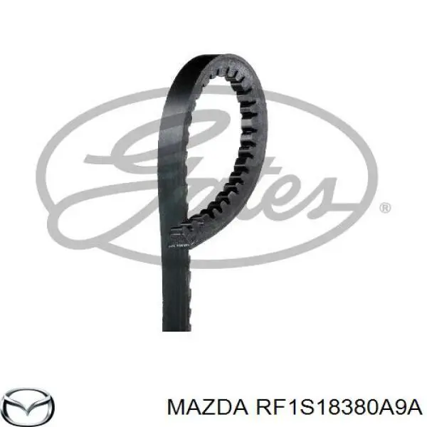 Клиновий ремінь Mazda RF1S18380A9A ціна, від 21.29 USD