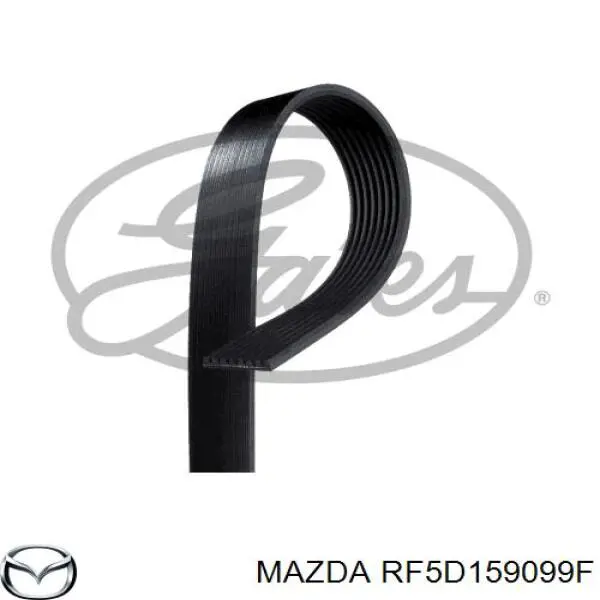 Купити RF5D159099F Mazda Ремінь генератора