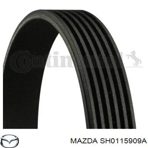SH0115909A Mazda Поліклиновий ремінь