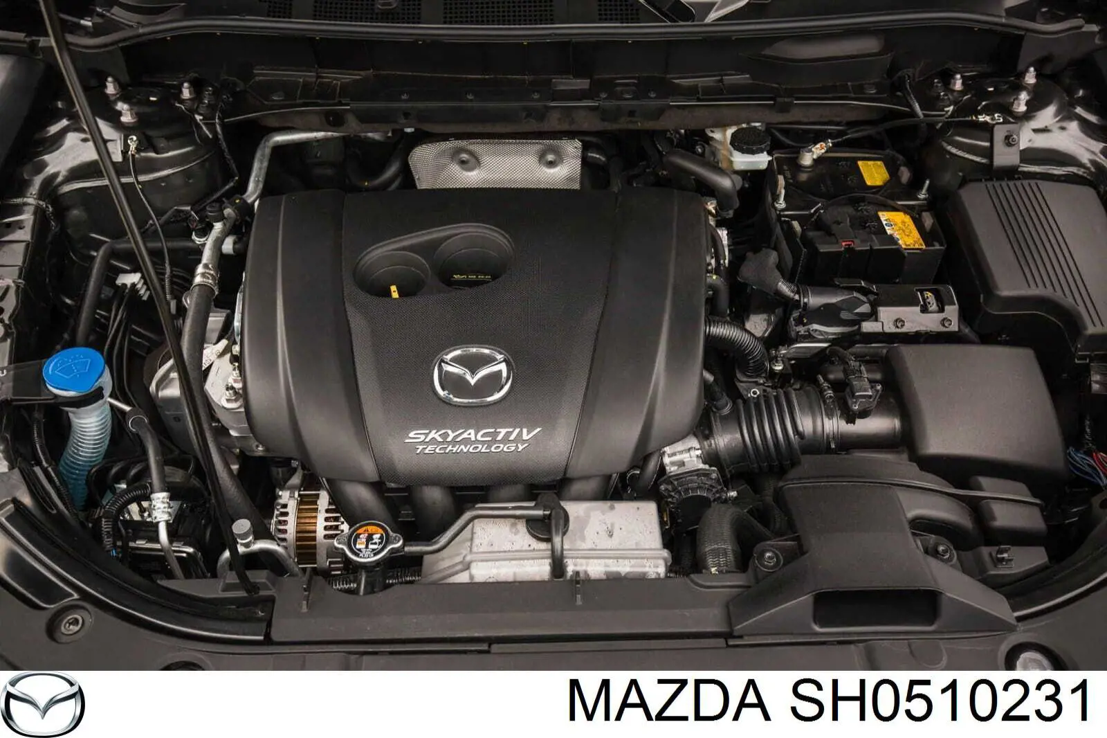  SH0510231 Mazda