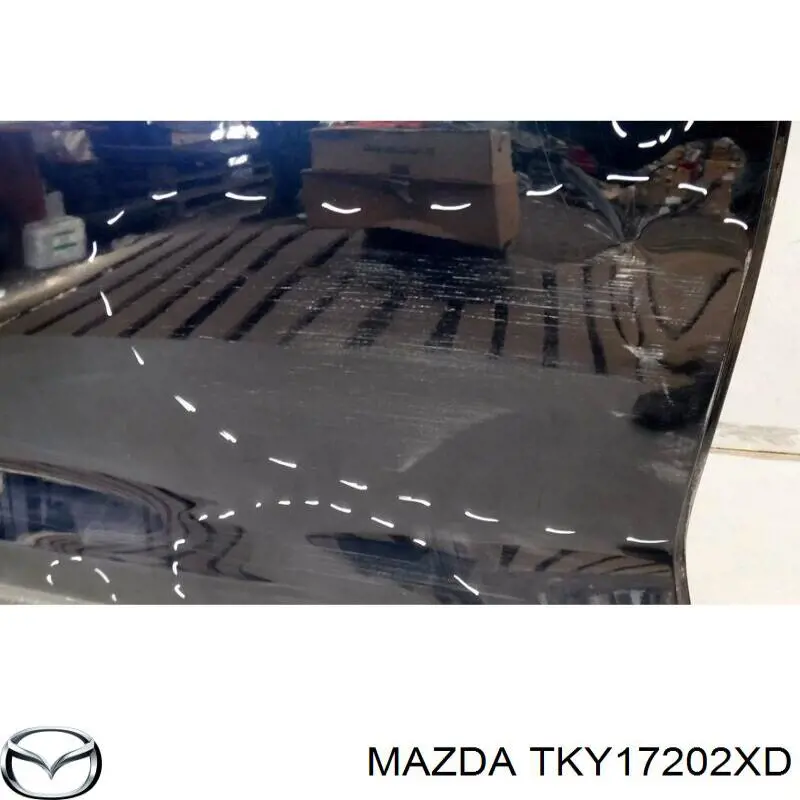 Двері задні, праві Mazda CX-9 (TC) (Мазда CX-9)