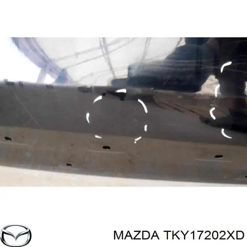 Двері задні в зборі на Mazda CX-9  TC