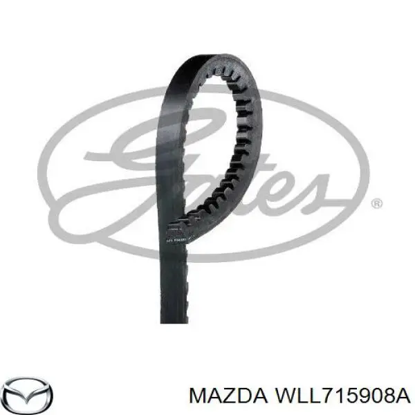Купити WLL715908A Mazda Ремінь генератора