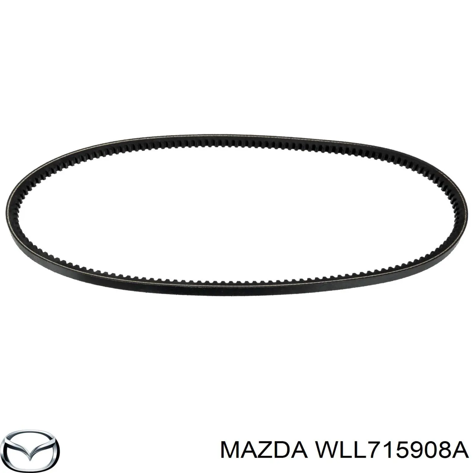 WLL715908A Mazda Поліклиновий ремінь
