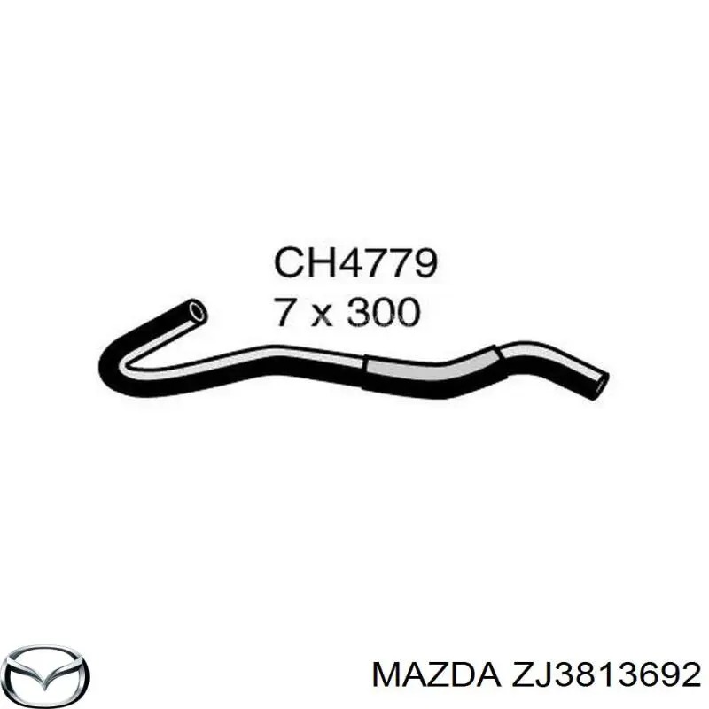 ZJ3813692 Mazda 