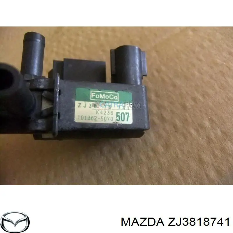 ZJ3818741 Mazda 