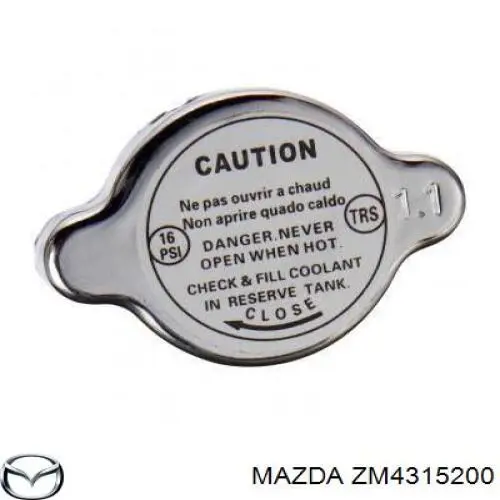 Купити ZM4315200 Mazda Радіатор двигуна
