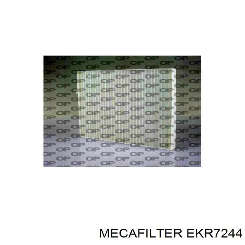 Фільтр салону 8660003806 Renault (RVI)