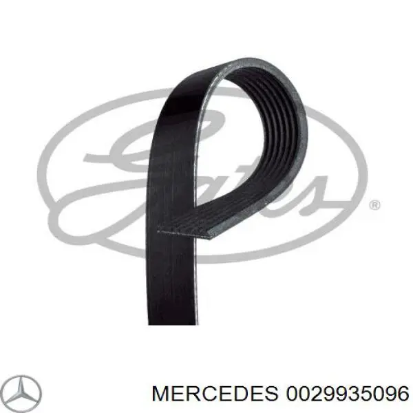 Ремінь приводний, агрегатів 0029935096 Mercedes