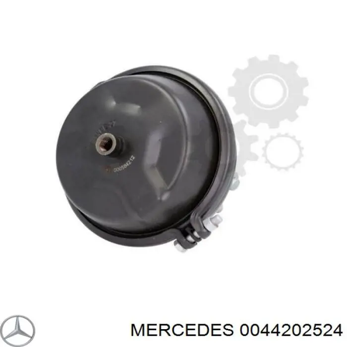  44202524 Mercedes