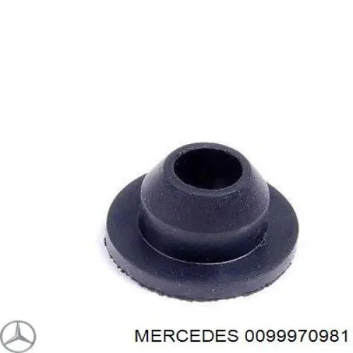 Купити 13250358 General Motors Ущільнююче кільце насоса омивача