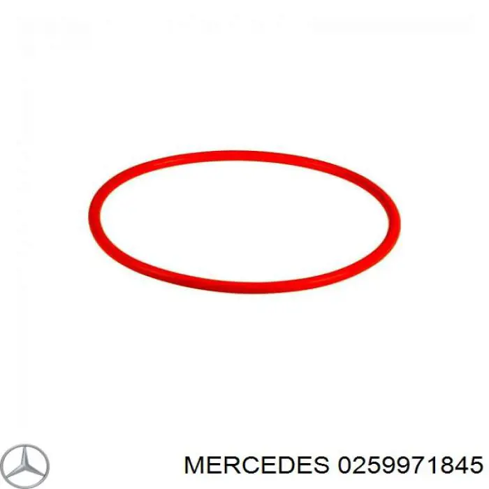 Ущільнювач паливного насосу на Mercedes C (W204)