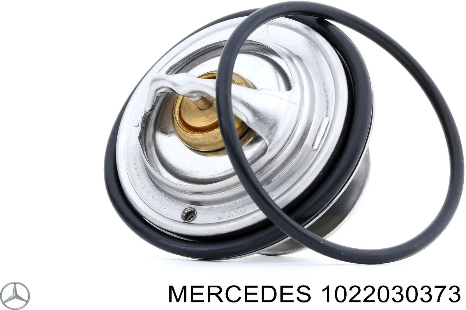  1022030373 Mercedes