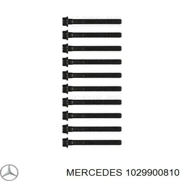1029900810 Mercedes болт головки блока циліндрів, гбц