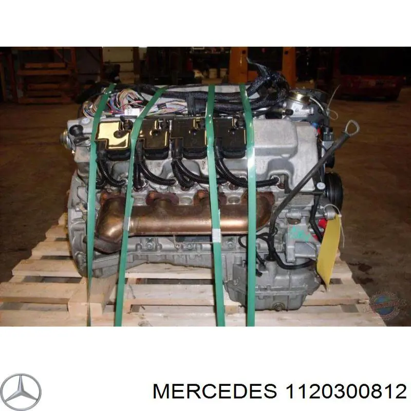  1120300812 Mercedes