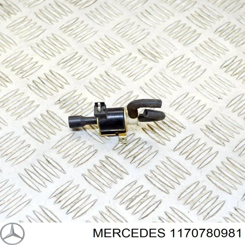  Ssang Yong 1170780981