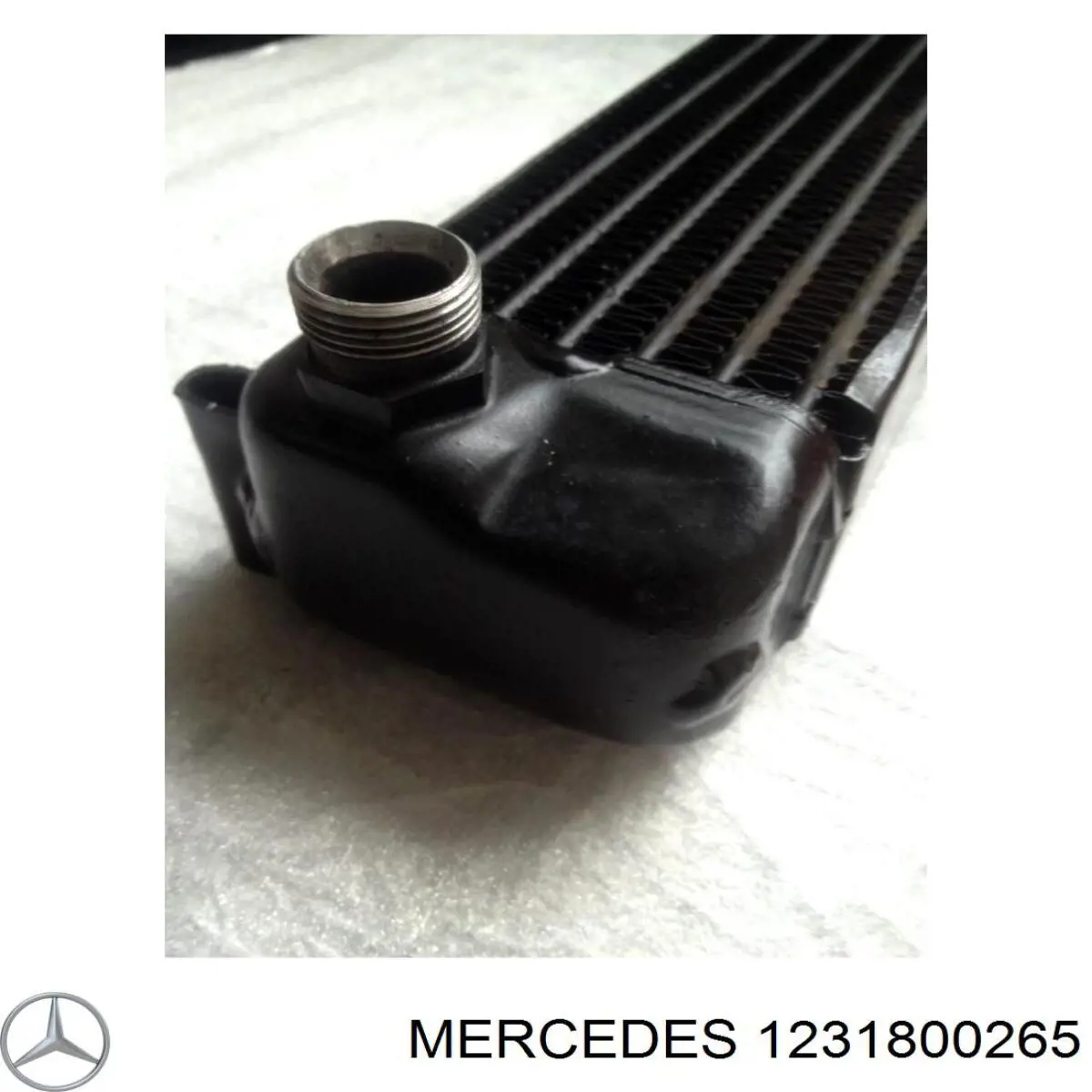 1231800265 Mercedes радіатор масляний