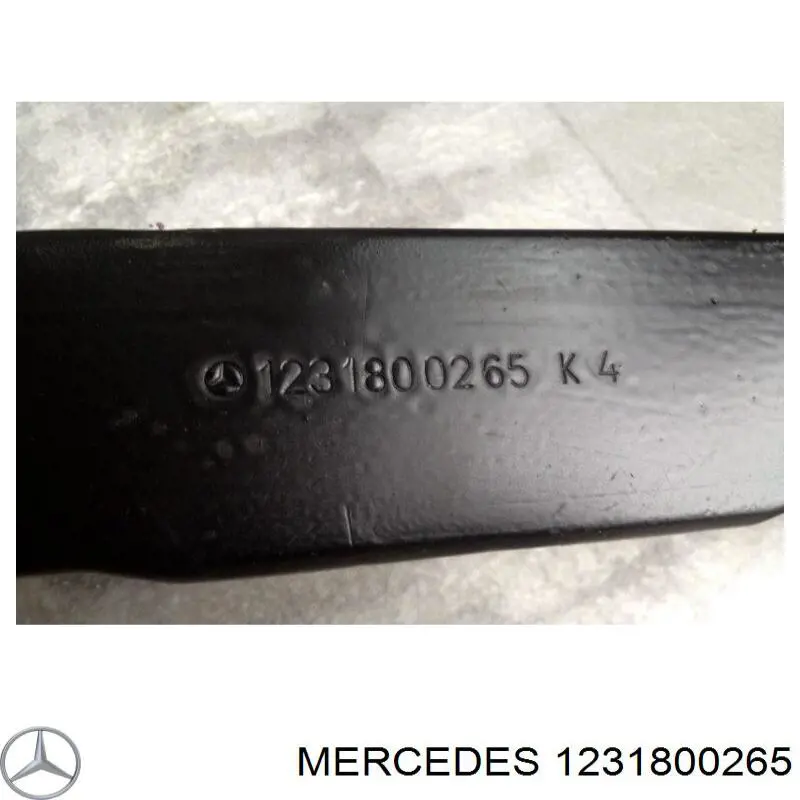 Радіатор масляний A1231800265 Mercedes