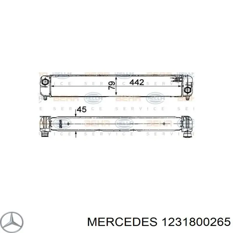 A1231800265 Mercedes Радіатор масляний