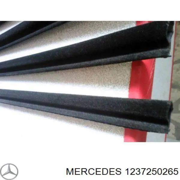 A1237250265 Mercedes 