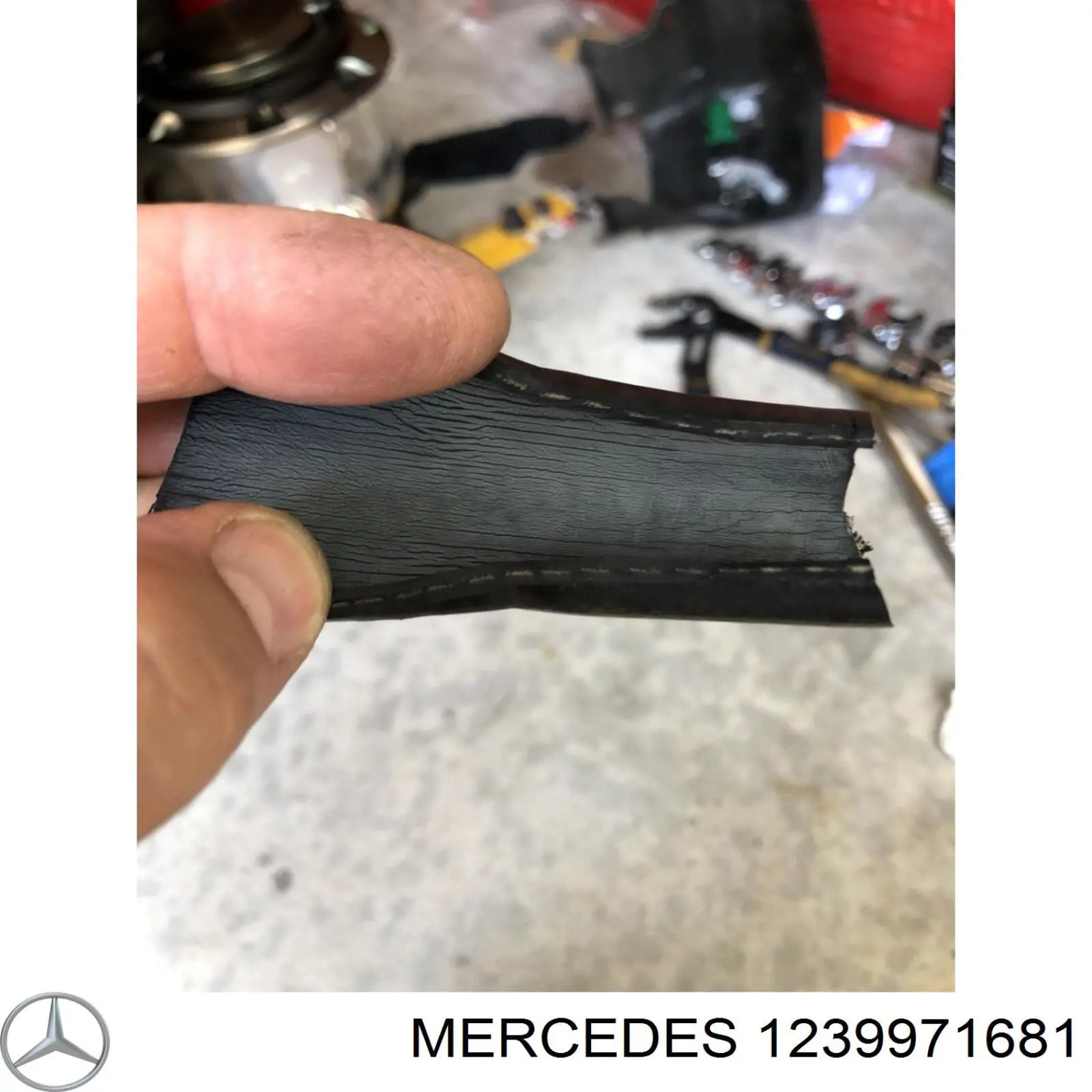 Купити A1239971681 Mercedes 