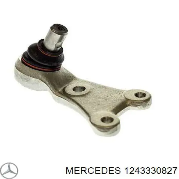 Кульова опора, нижня, права Market (OEM) 1243330827DB ціна, від 57.00 USD