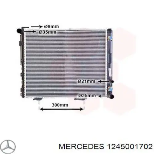 Радіатор охолодження двигуна 1245001702 Mercedes