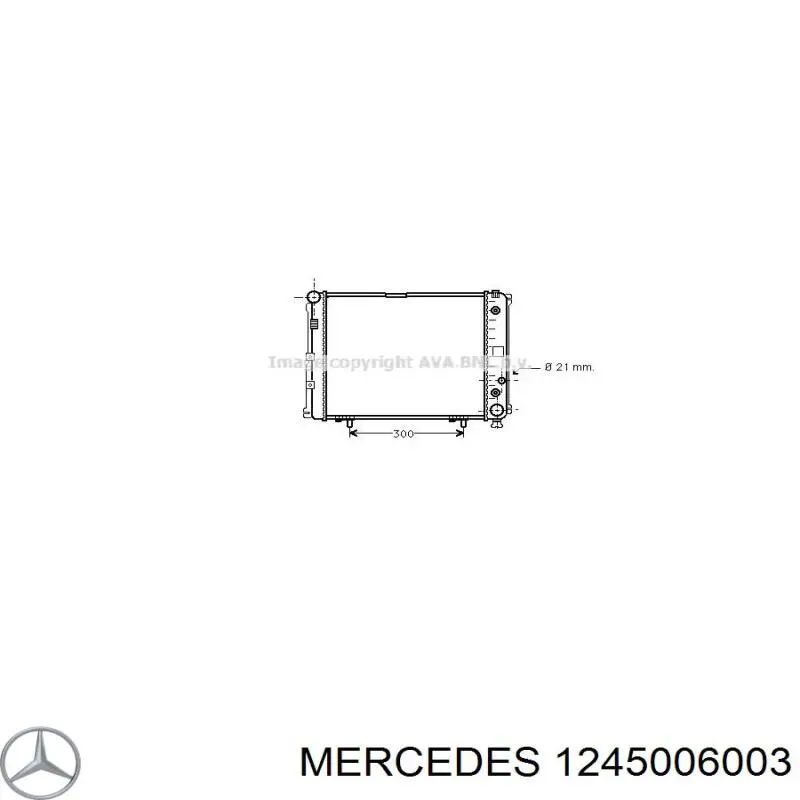 1245006003 Mercedes радіатор охолодження двигуна