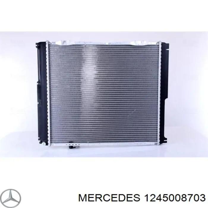 1245008703 Mercedes радіатор охолодження двигуна