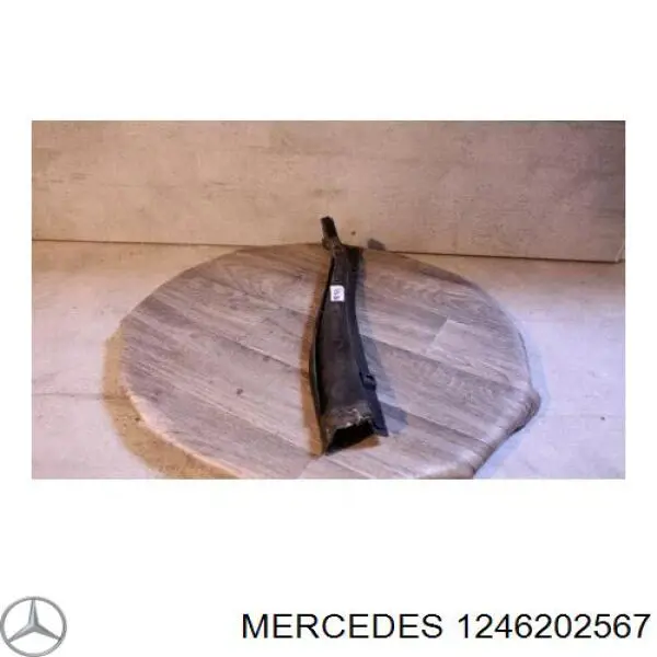 Водостік лобового скла, жабо A1246202567 Mercedes