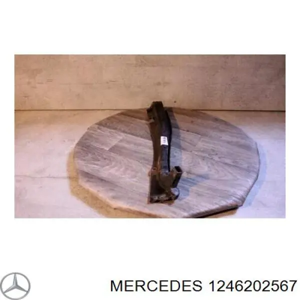 A1246202567 Mercedes Водостік лобового скла, жабо