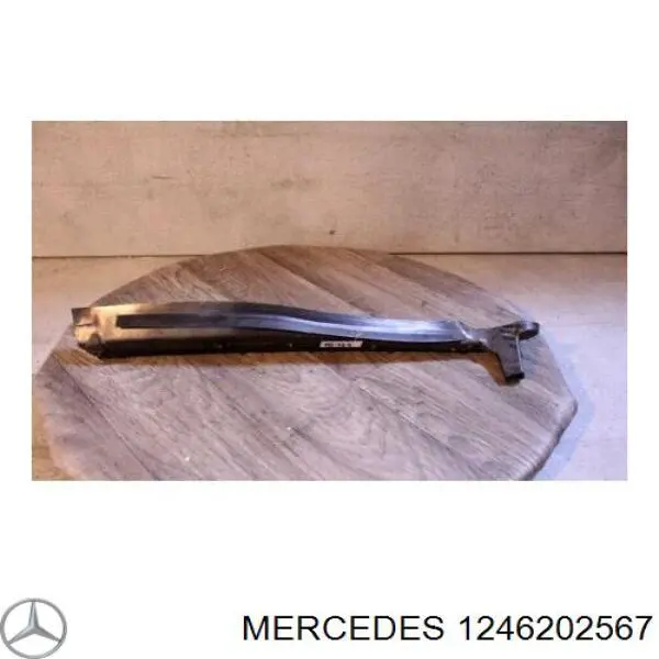 Водостік лобового скла, жабо Mercedes A1246202567 ціна, від 3.37 USD