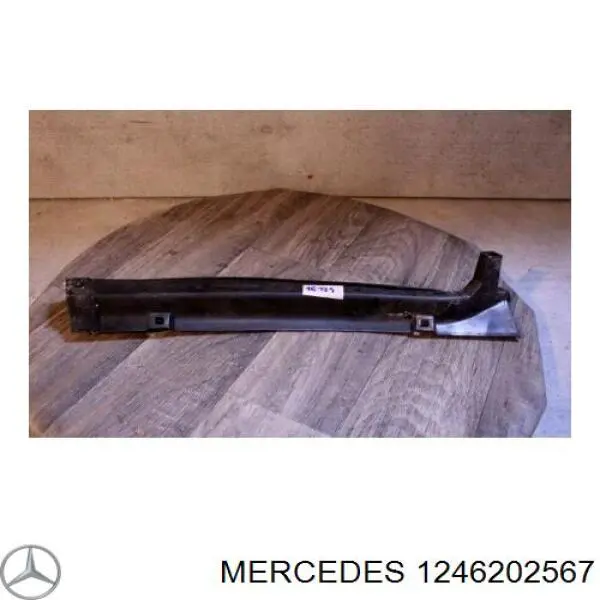 Купити A1246202567 Mercedes Водостік лобового скла, жабо