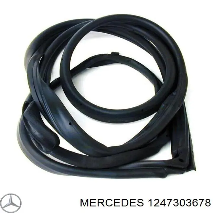  1247303678 Mercedes