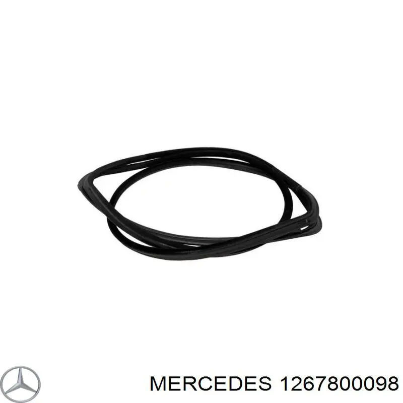 1267800098 Mercedes ущільнювач люка даху