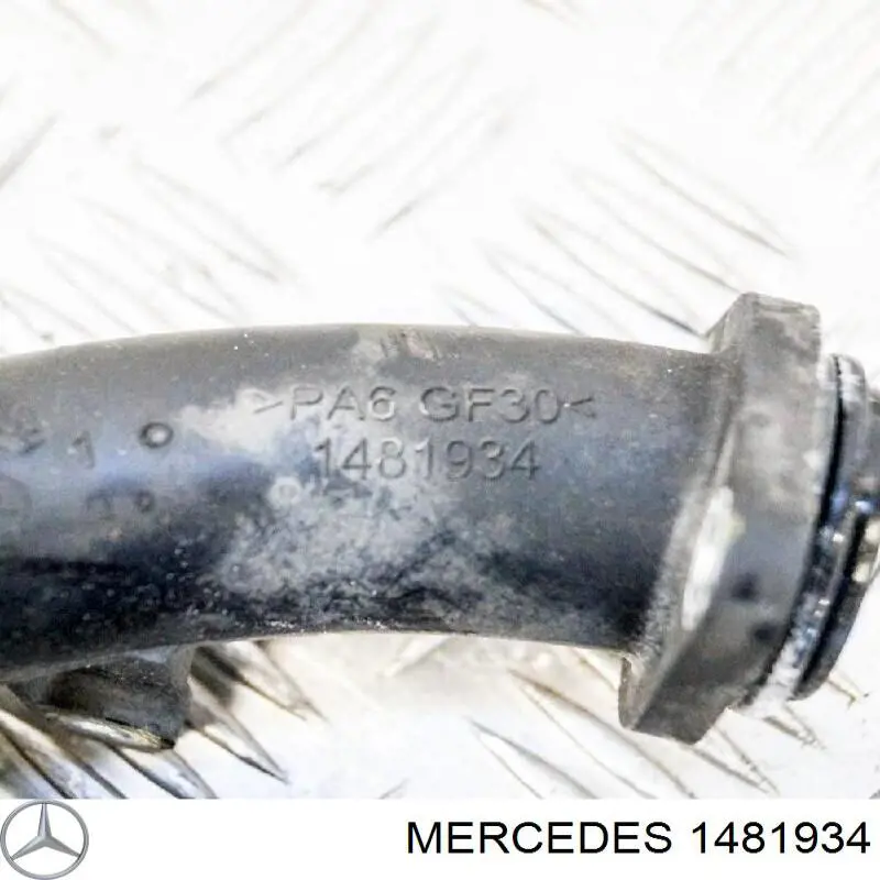  1481934 Mercedes