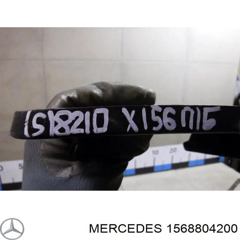  Signeda PBZ99301GA ціна, від 31.67 USD