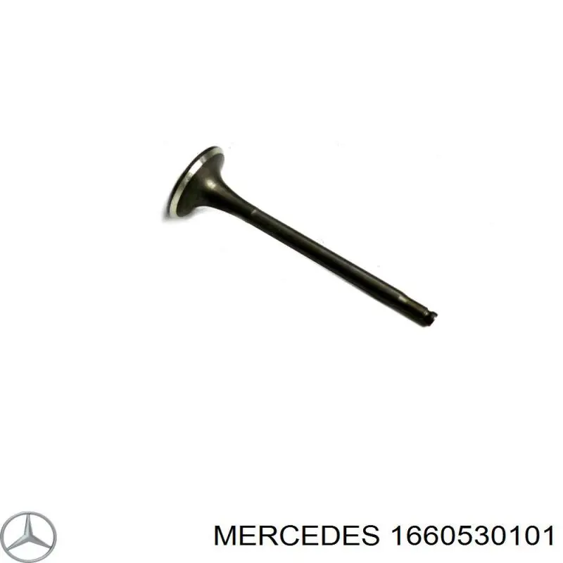 1660530101 Mercedes клапан впускний