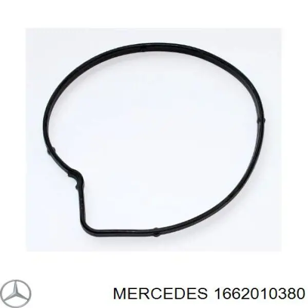 Купити A1662010380 Mercedes Прокладка водяної помпи