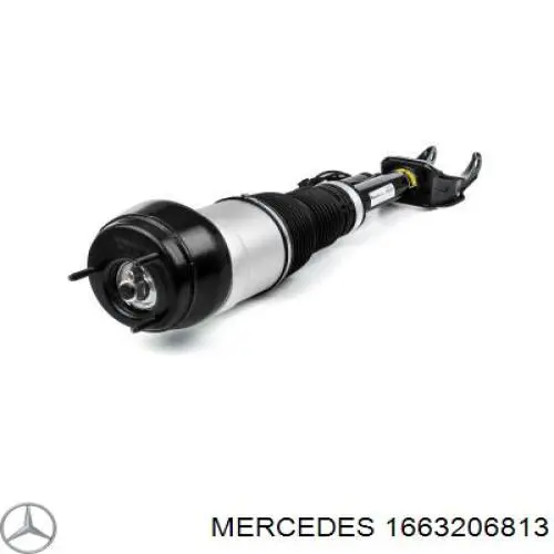 1663206813 Mercedes амортизатор передній, правий