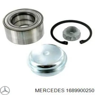  A1689900250 Mercedes