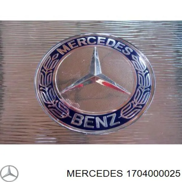 Купити A1704000025 Mercedes 