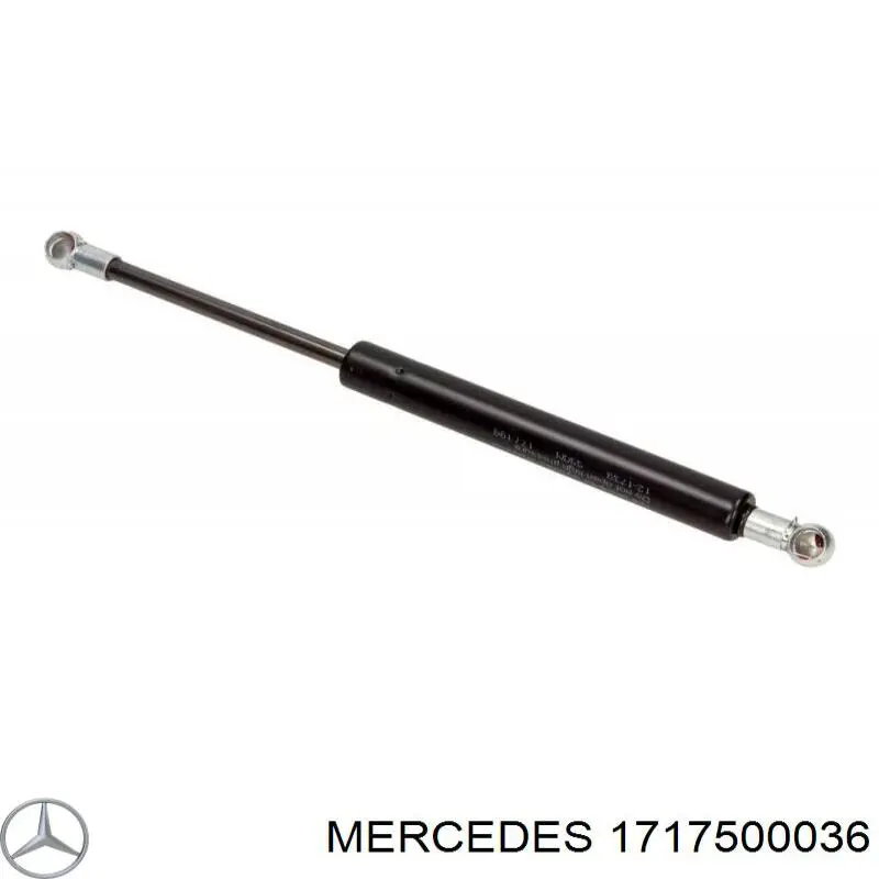 Амортизатор двері задньої Stabilus 920 ціна, від 12.65 USD