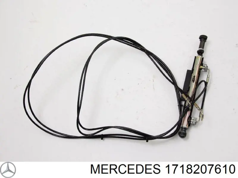 A1718207610 Mercedes 