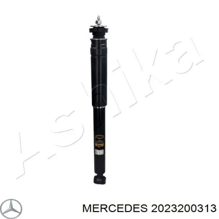  2023200313 Mercedes