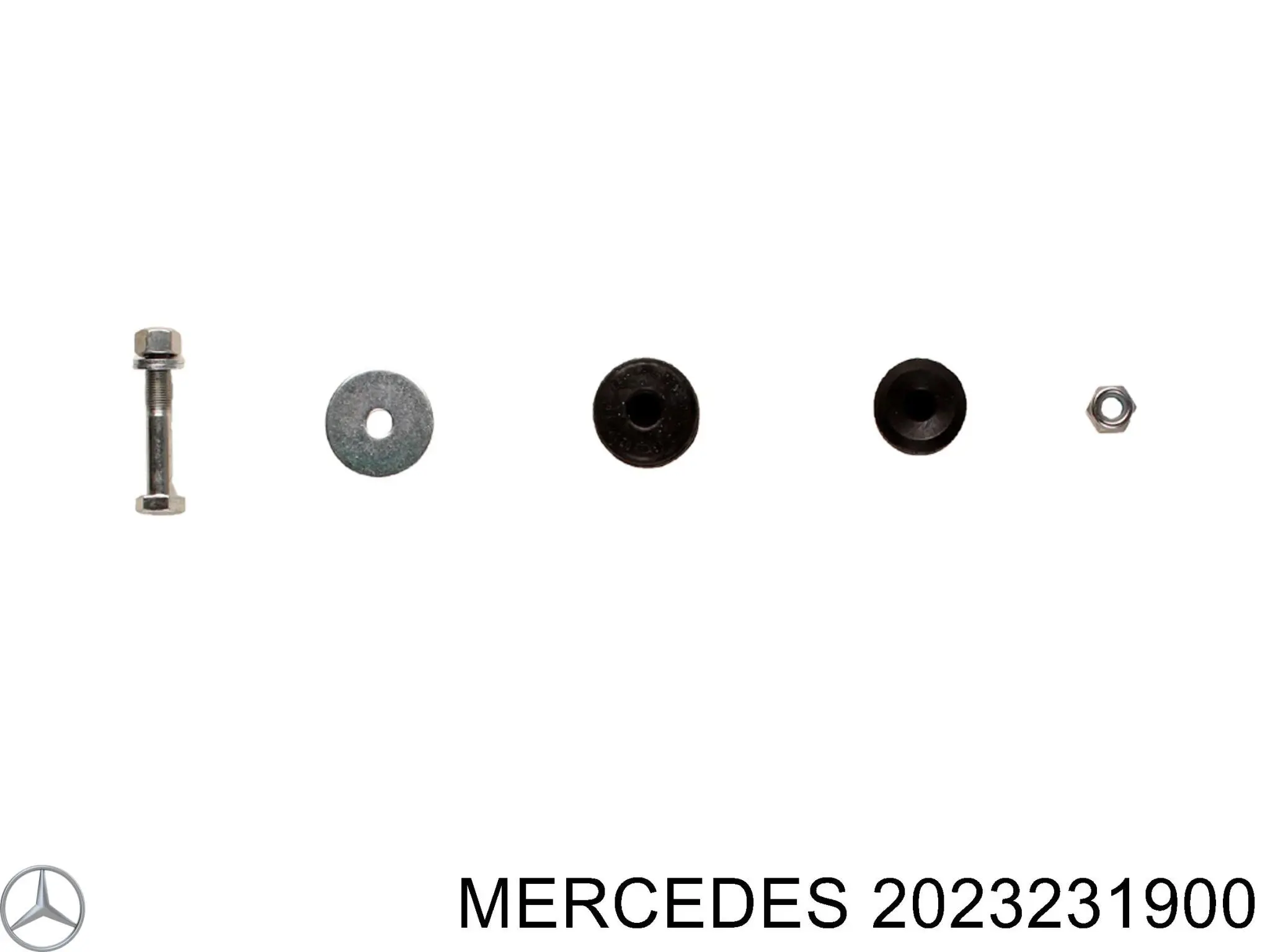 A2023231900 Mercedes 