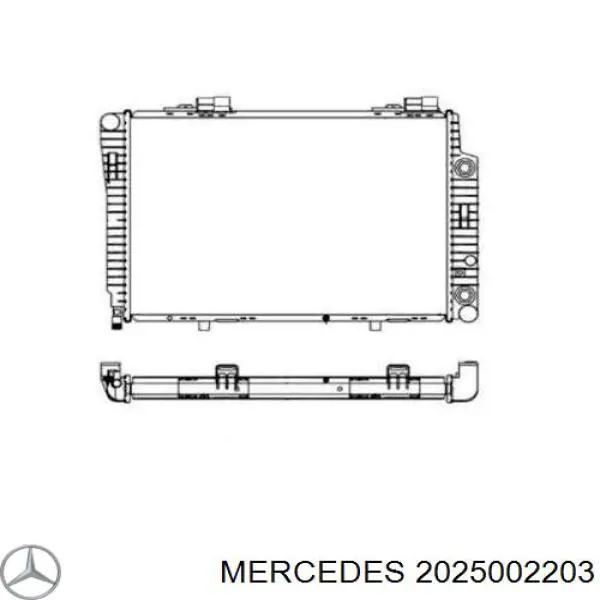2025002203 Mercedes радіатор охолодження двигуна