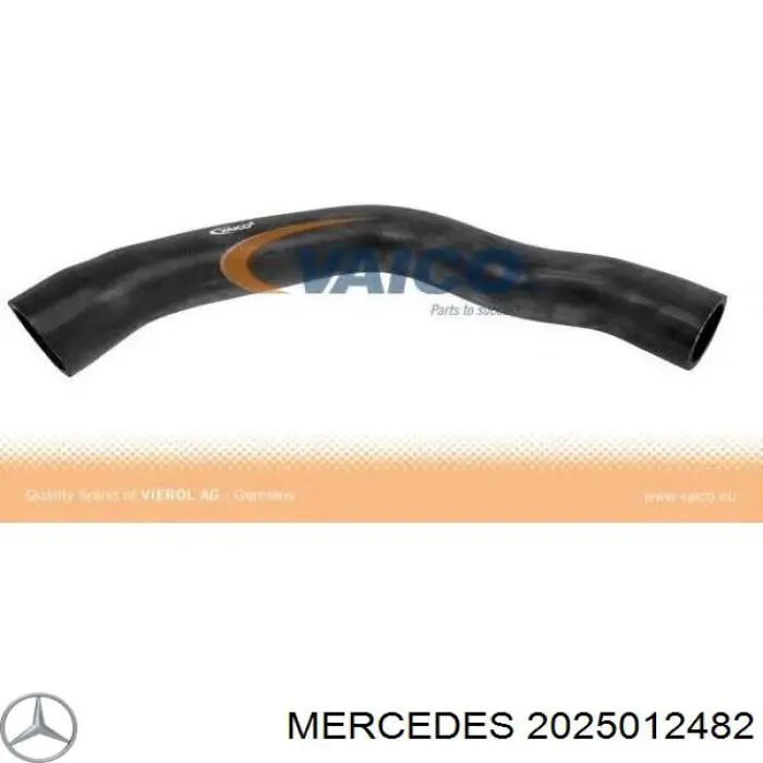 2025012482 Mercedes шланг/патрубок радіатора охолодження, верхній