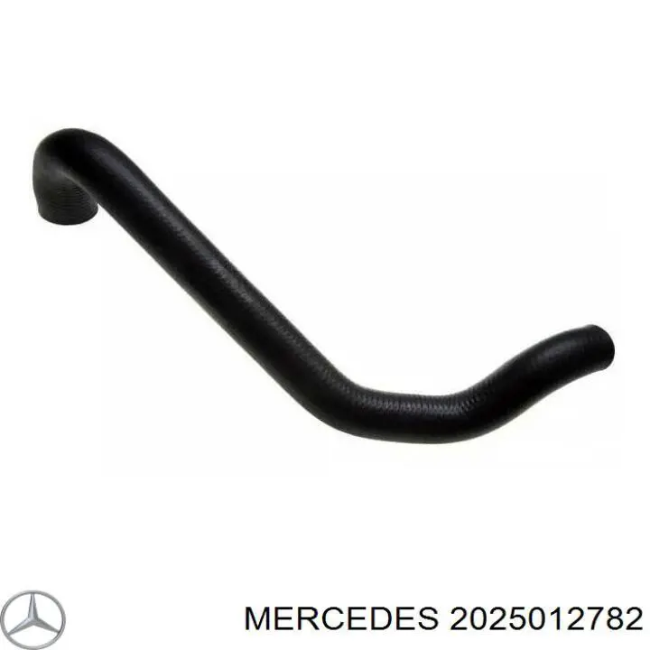 2025012782 Mercedes шланг/патрубок радіатора охолодження, нижній