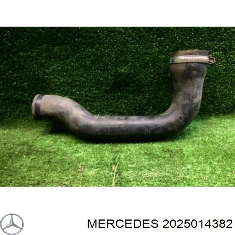2025014382 Mercedes шланг/патрубок радіатора охолодження, нижній